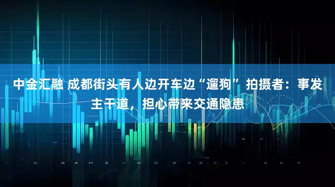 中金汇融 成都街头有人边开车边“遛狗” 拍摄者：事发主干道，担心带来交通隐患