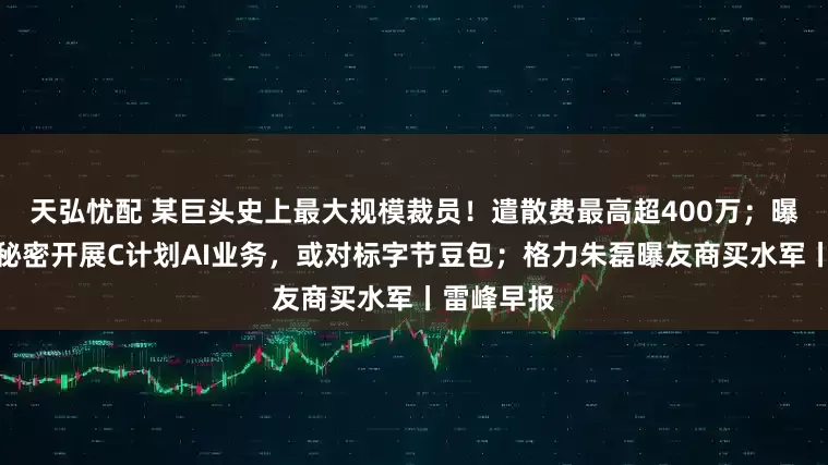 天弘忧配 某巨头史上最大规模裁员！遣散费最高超400万；曝阿里夸克秘密开展C计划AI业务，或对标字节豆包；格力朱磊曝友商买水军丨雷峰早报