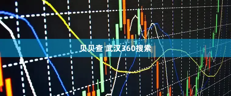 贝贝查 武汉360搜索