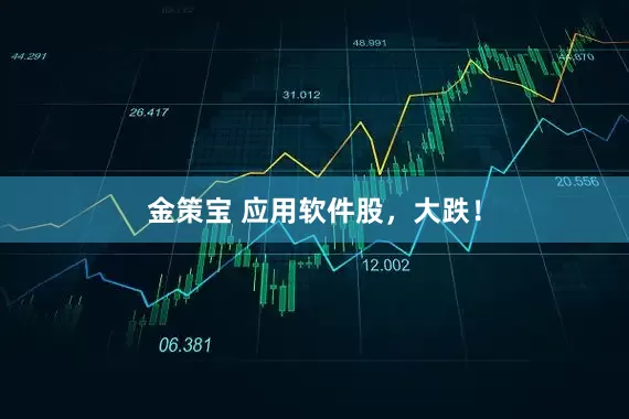 金策宝 应用软件股，大跌！