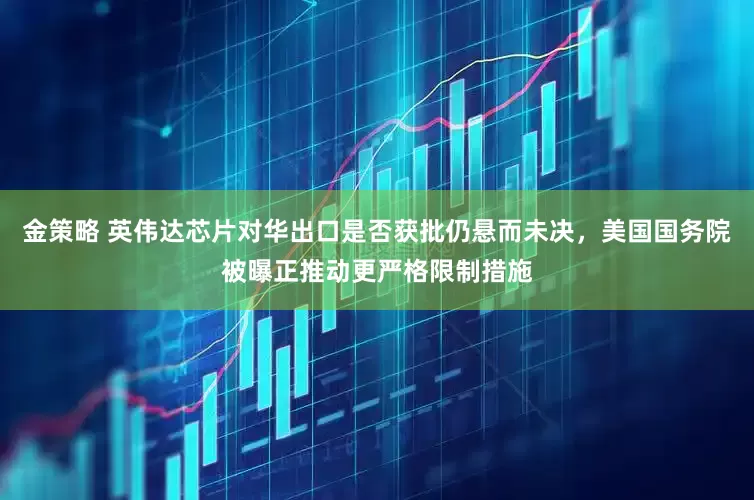 金策略 英伟达芯片对华出口是否获批仍悬而未决，美国国务院被曝正推动更严格限制措施